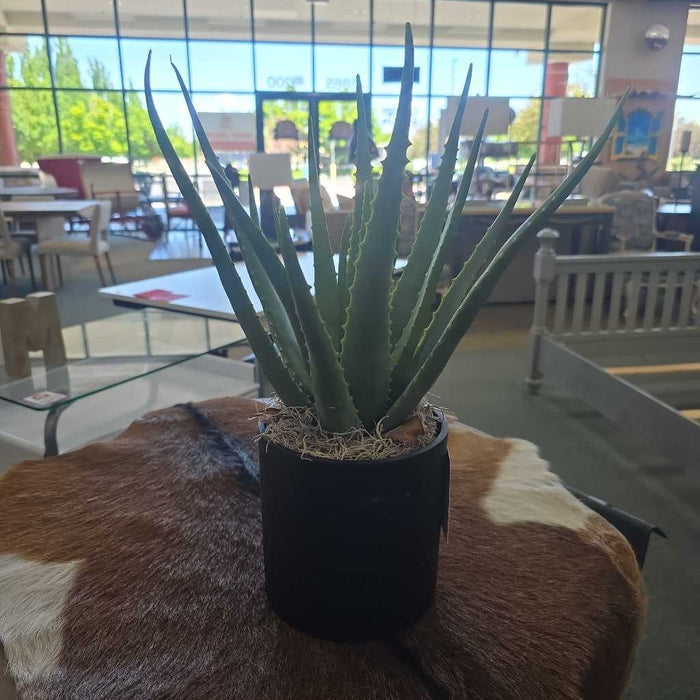 SMALL SILK ALOE IN BLACK POT A