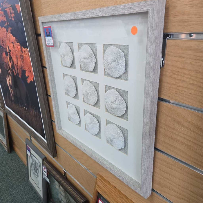 SHELL DECOR SHADOW BOX AL