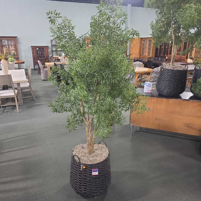 LARGE SILK TREE IN BLACK BASKET TM