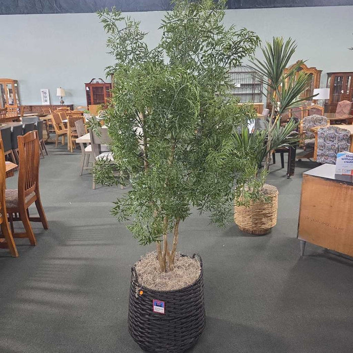 LARGE SILK TREE IN BLACK BASKET TM