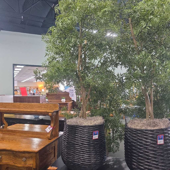 LARGE SILK TREE IN BLACK BASKET TM