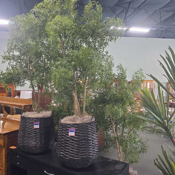 LARGE SILK TREE IN BLACK BASKET TM