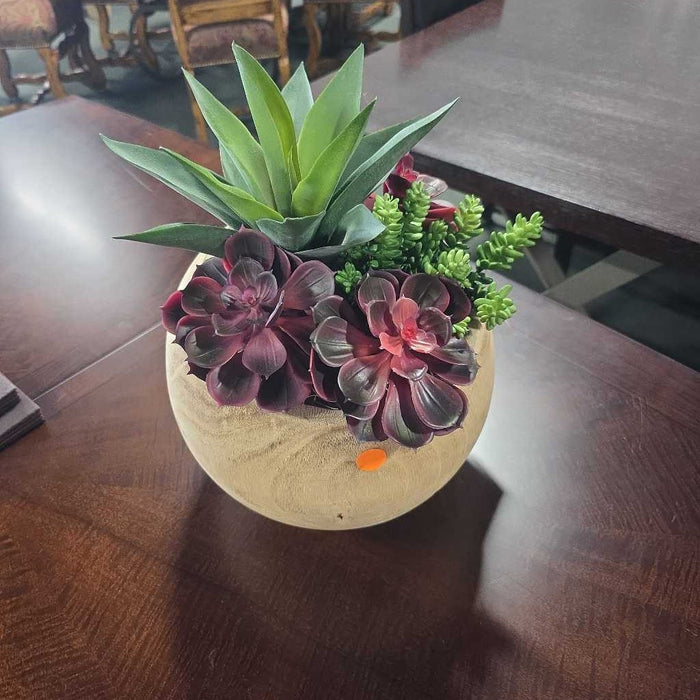 LARGE SUCCULENT IN ROUND WOOD POT LS