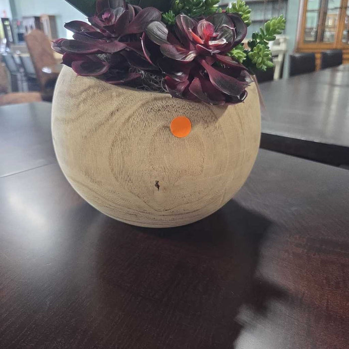 LARGE SUCCULENT IN ROUND WOOD POT LS