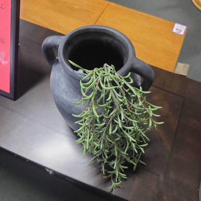 BLACK 2 HANDLE VASE BT