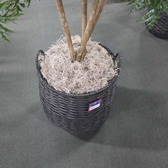 LARGE SILK TREE IN BLACK BASKET TM