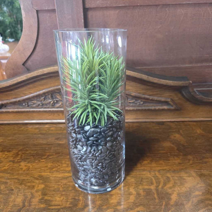 SUCCULENT IN LARGE GLASS CYLINDER BT