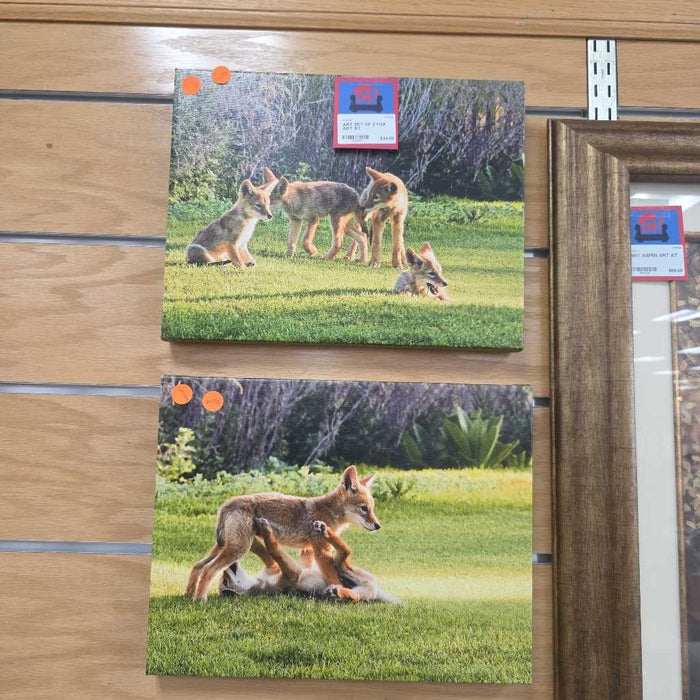 SET OF 2 FOX ART BT
