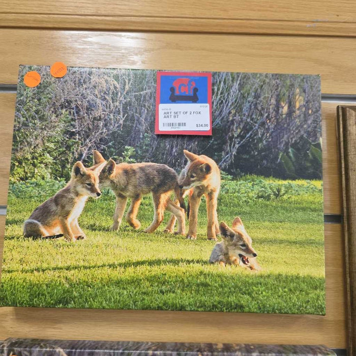 SET OF 2 FOX ART BT