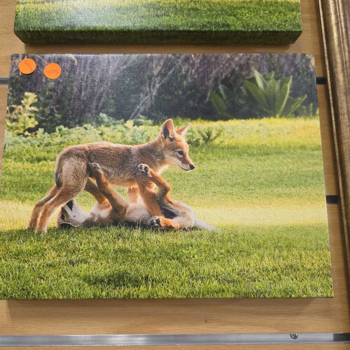 SET OF 2 FOX ART BT