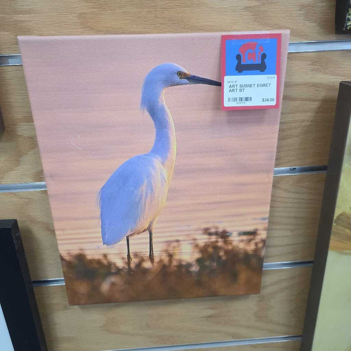 SUSNET EGRET ART BT