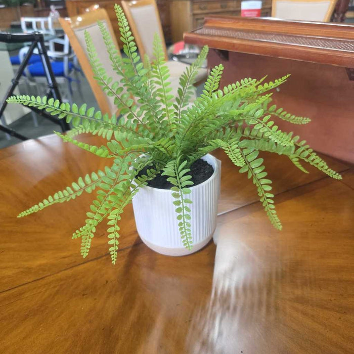 MEDIUM SILK FERN IN WHITE & BROWN POT S