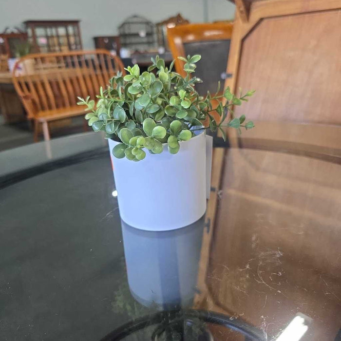 SMALL SUCCULENT IN WHITE POT A