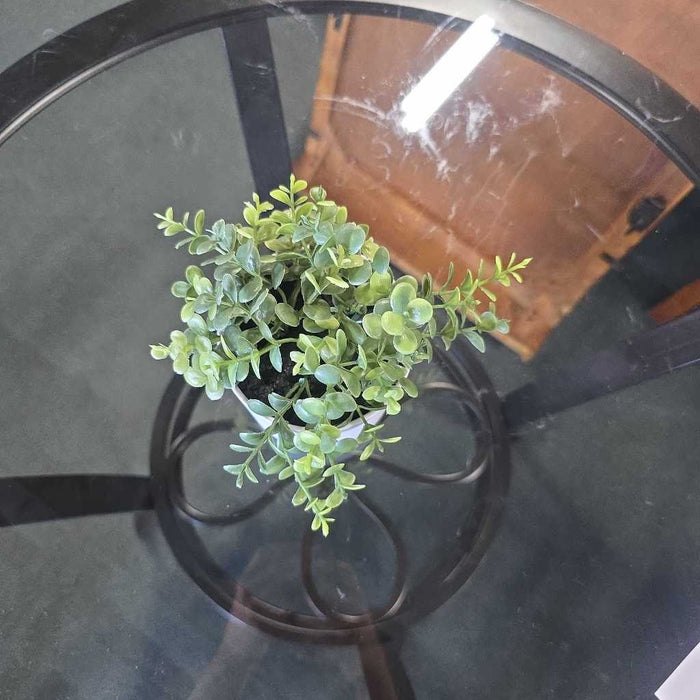 SMALL SUCCULENT IN WHITE POT A