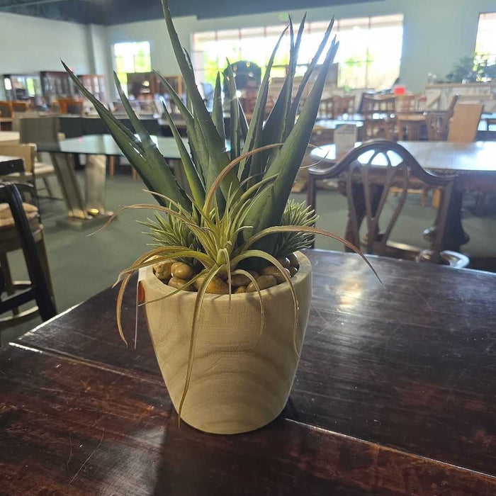 ALOE & SUCCULENT IN WOOD POT BT