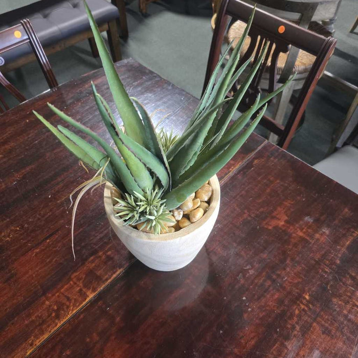 ALOE & SUCCULENT IN WOOD POT BT