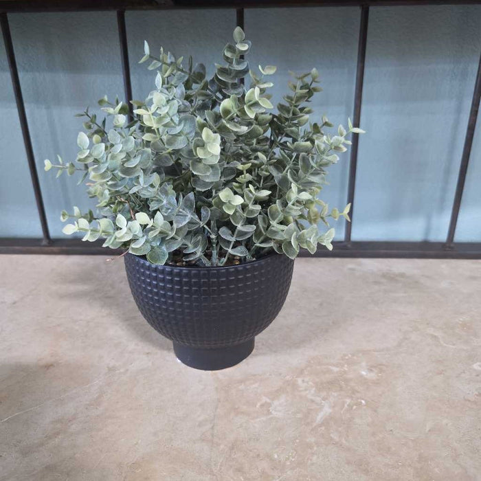 SMALL SILK IN BLACK BUMPY POT A