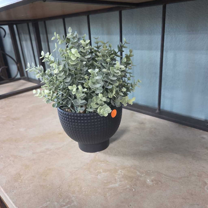 SMALL SILK IN BLACK BUMPY POT A