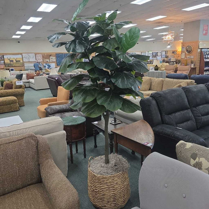 LARGE FIG IN TAN BASKET SK
