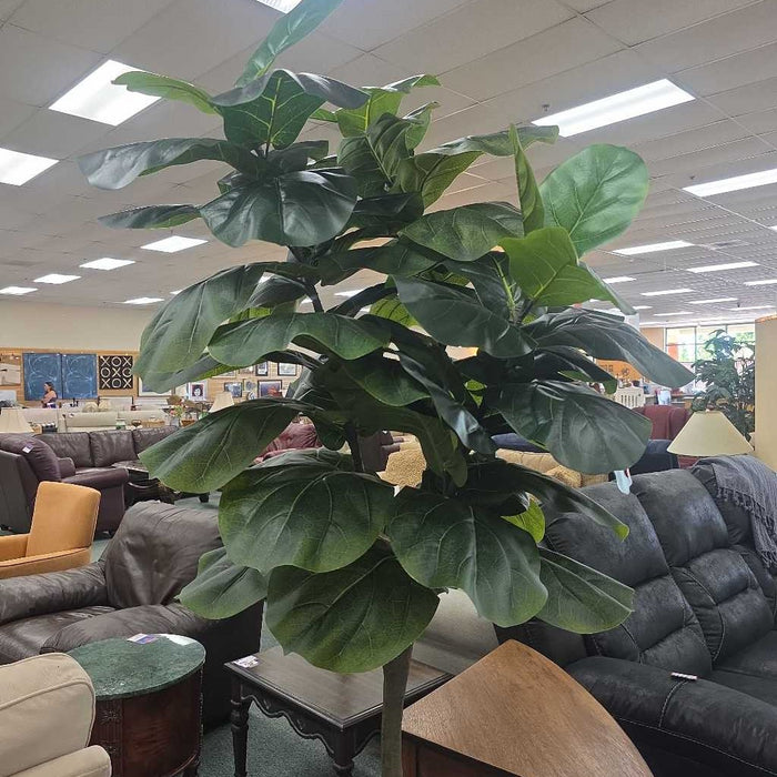 LARGE FIG IN TAN BASKET SK