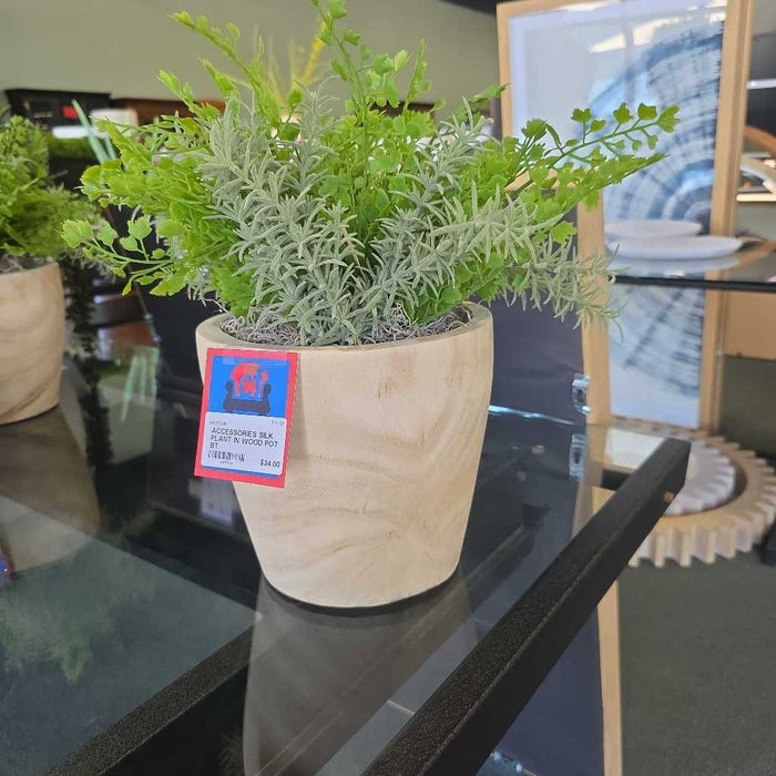 SILK PLANT IN WOOD POT BT
