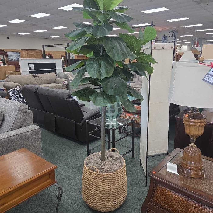LARGE FIG IN TAN BASKET SK