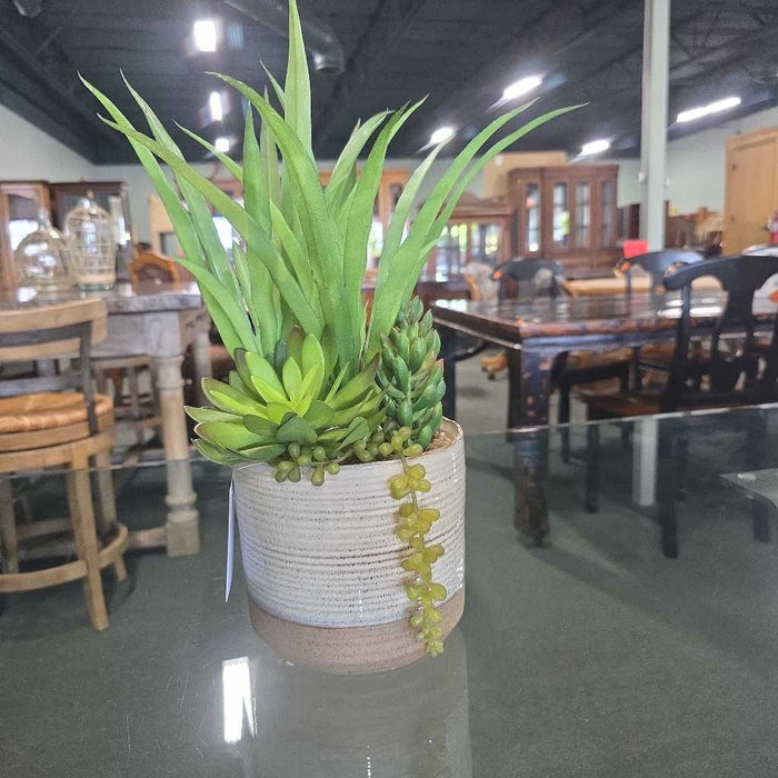SUCCULENT IN CREAM/BROWN POT S