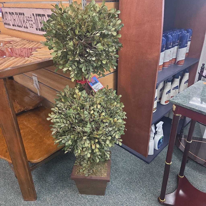 SILK TREE LS