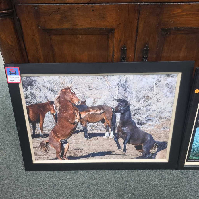HORSE FIGHT MI