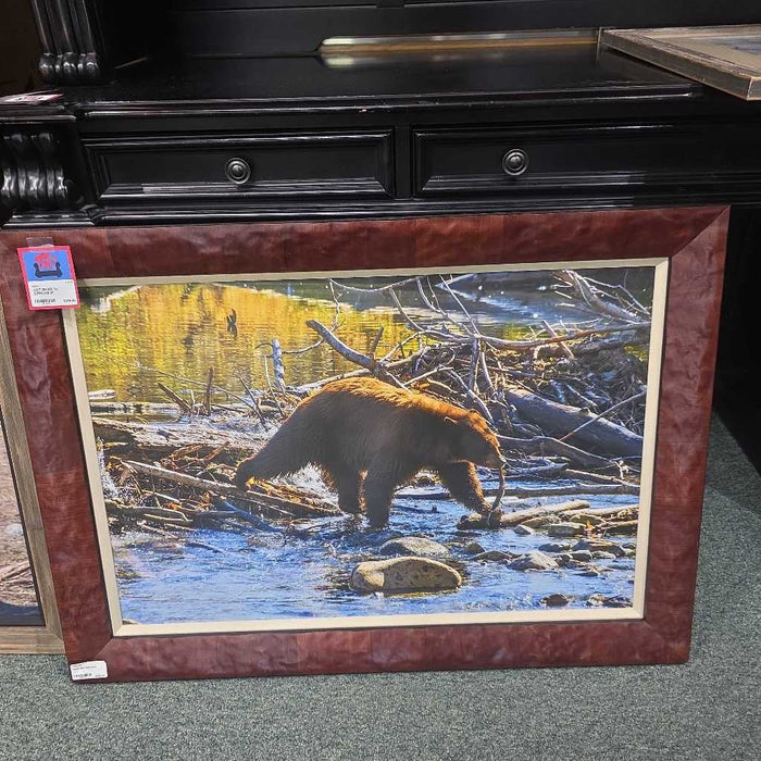 BEAR IN STREAM MI