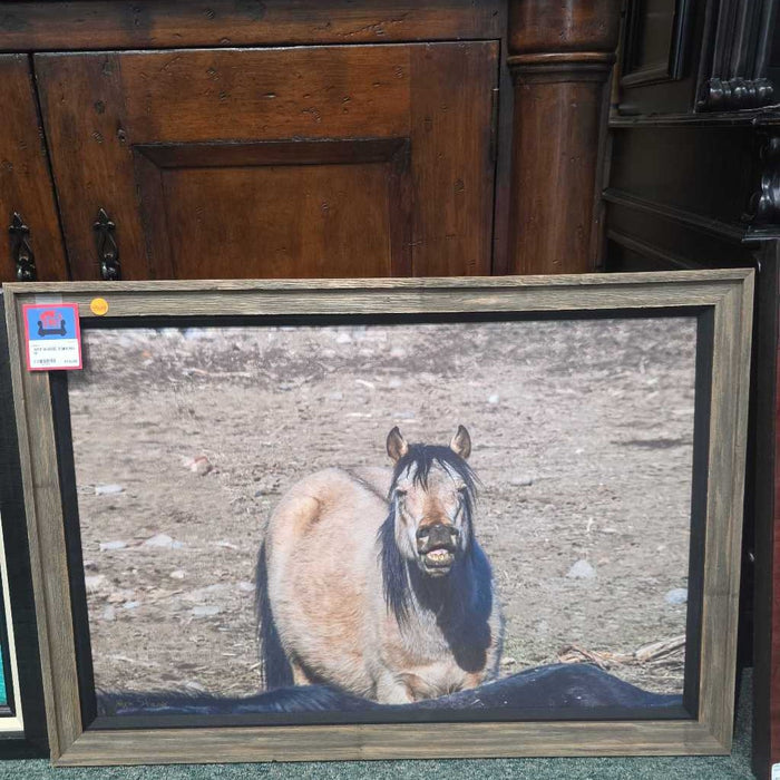 HORSE SNIFFING MI