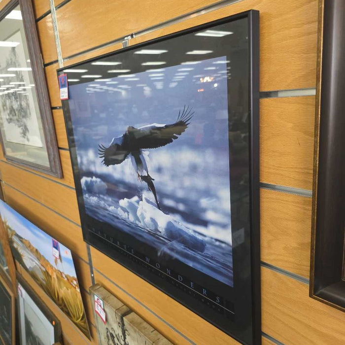 NATURES WONDERS EAGLE ART AT