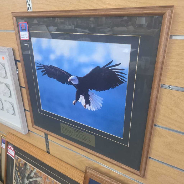 WILD KINGDOM EAGLE ART AT