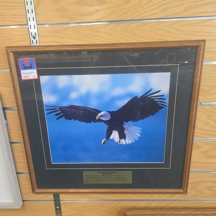 WILD KINGDOM EAGLE ART AT