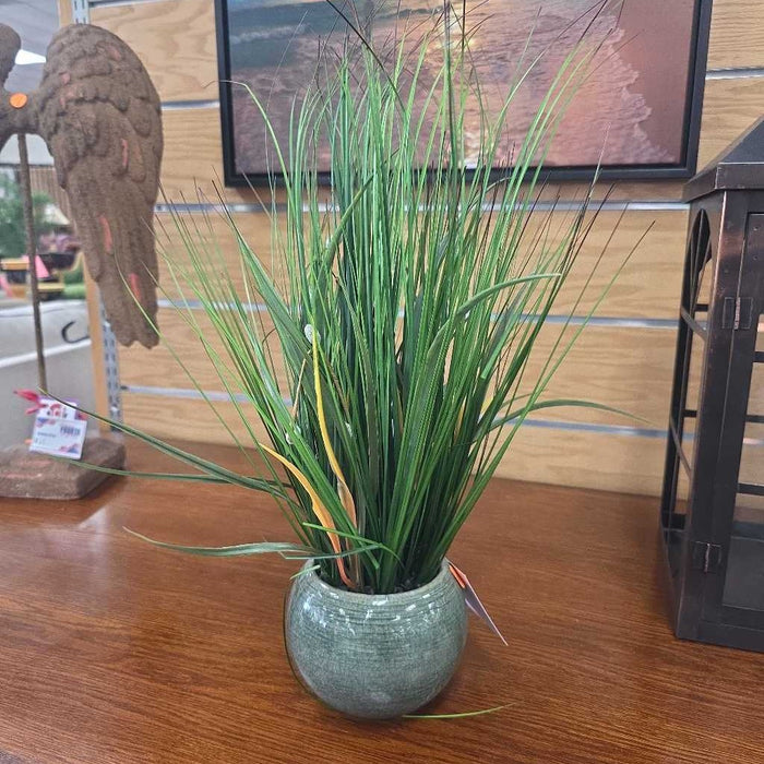 SILK PLANT BA