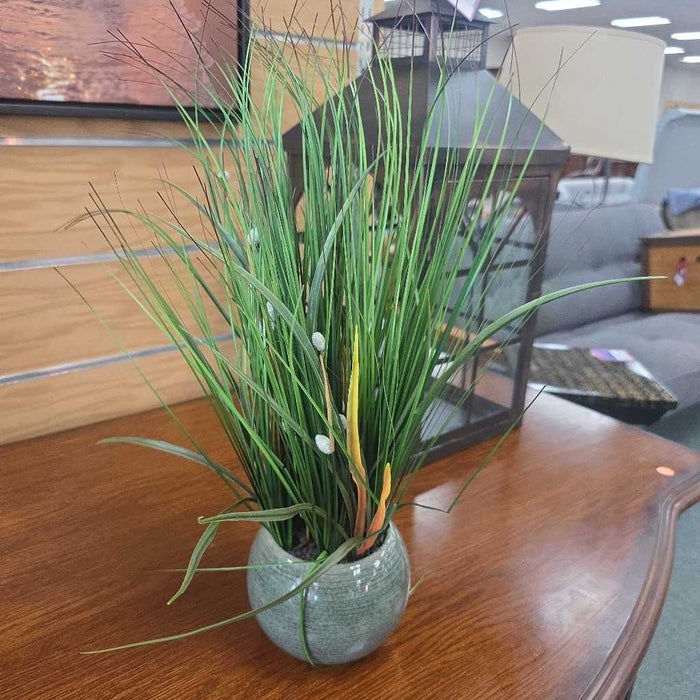 SILK PLANT BA