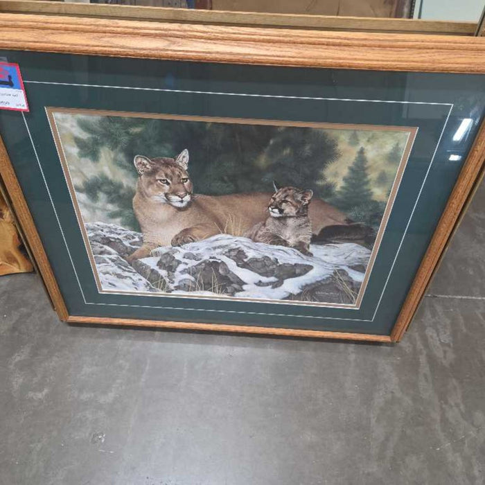 COUGAR ART SK