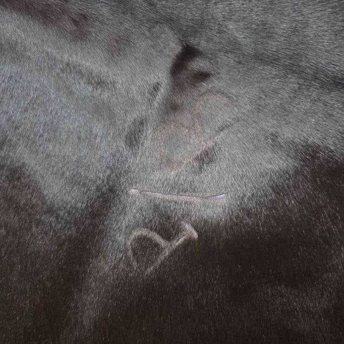 MEDIUM COWHIDE