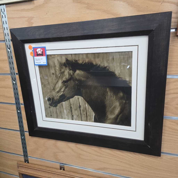 WALL ART HORSE AL