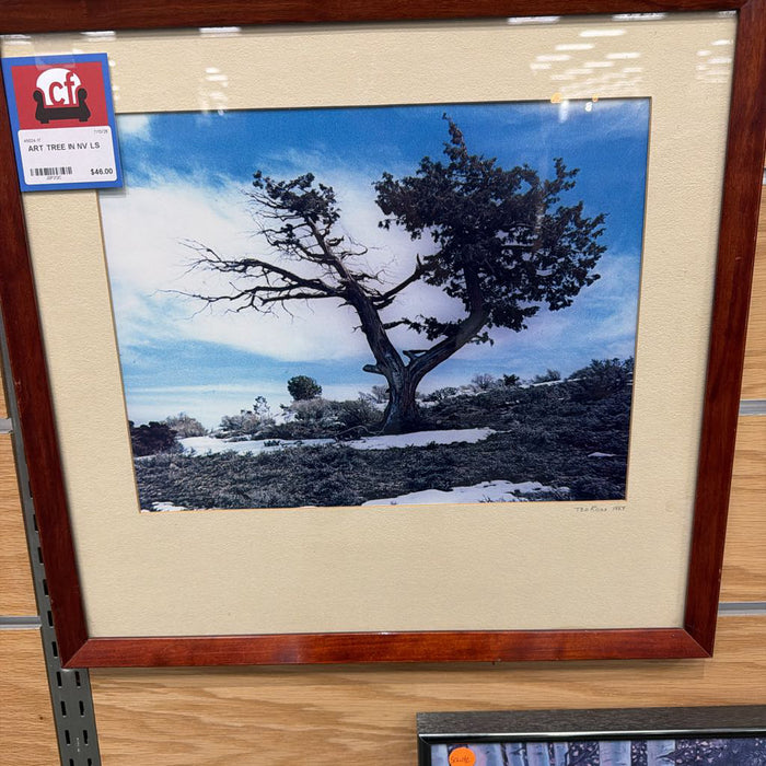 TREE IN NV LS