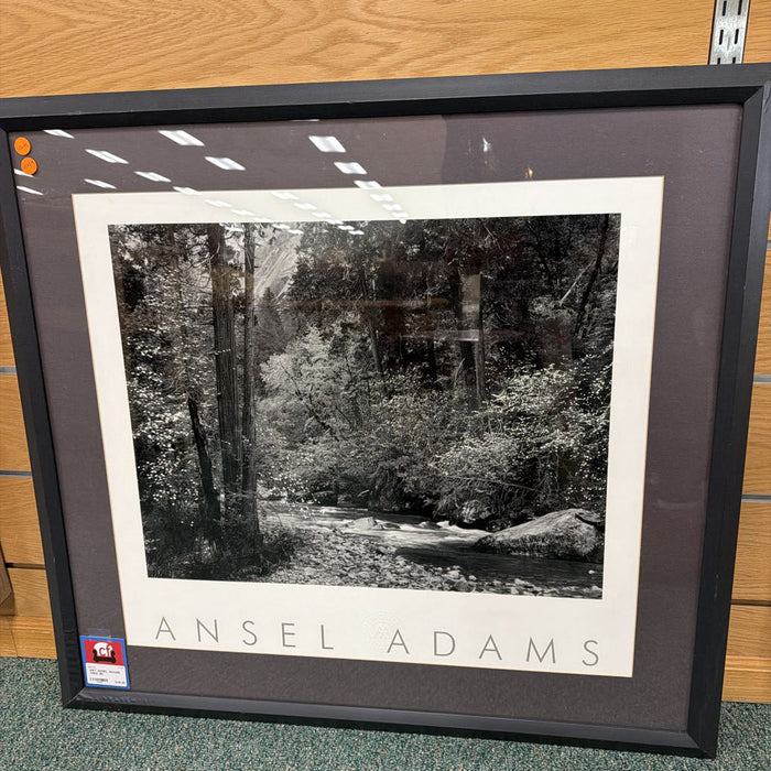 ANSEL ADAMS TREE SK
