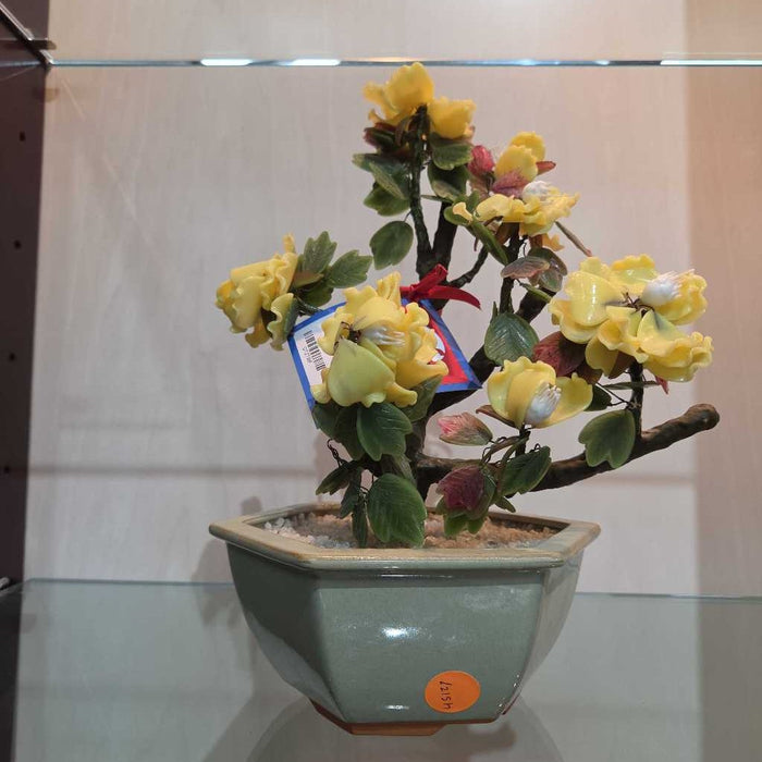 JADE PLANT DECOR BT