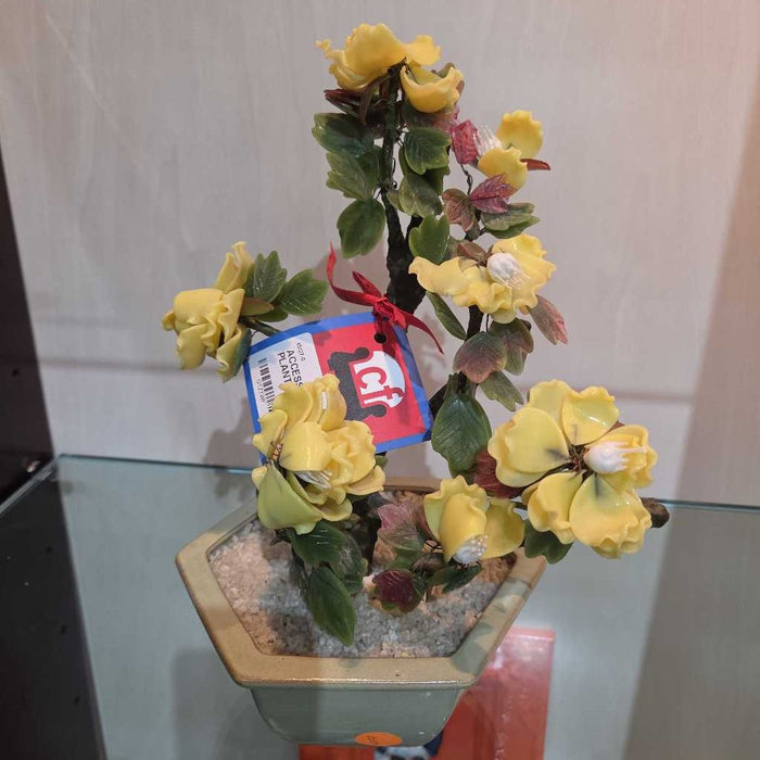 JADE PLANT DECOR BT