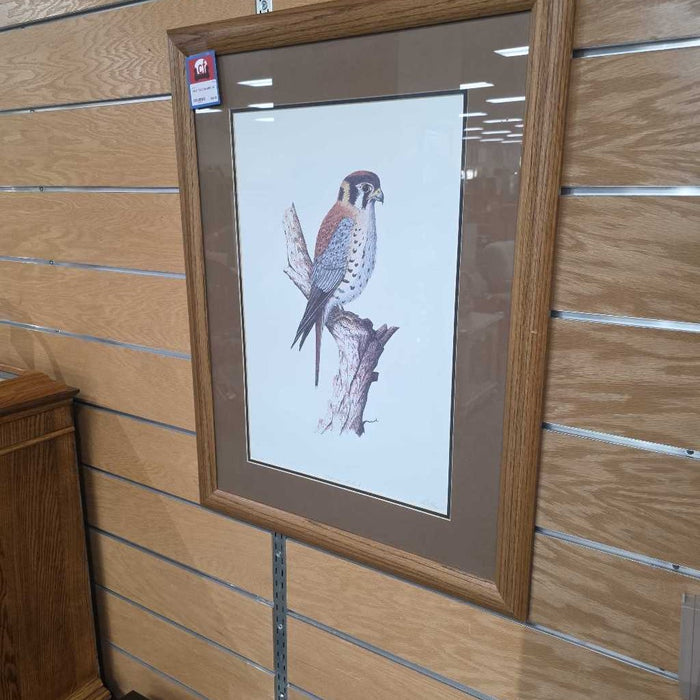 FALCON ART AT