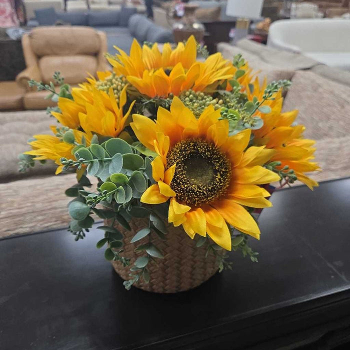 SUNFLOWER SILK PLANT