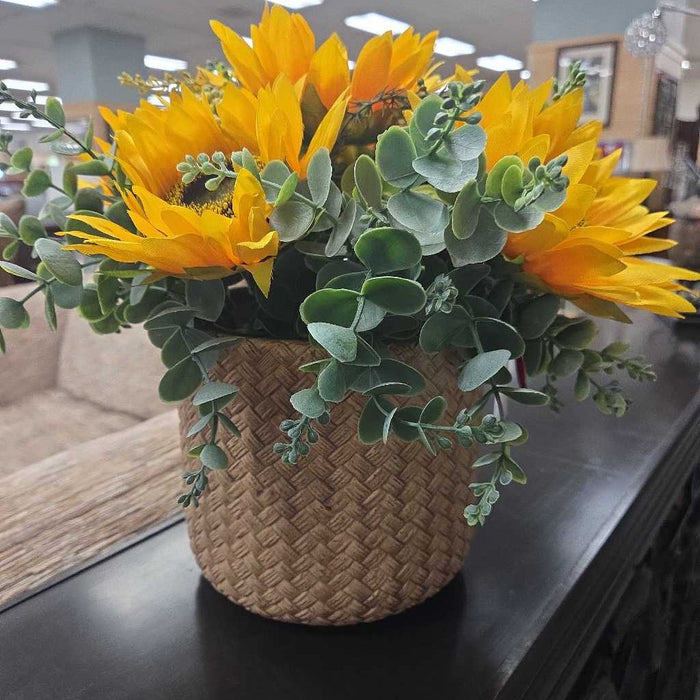 SUNFLOWER SILK PLANT