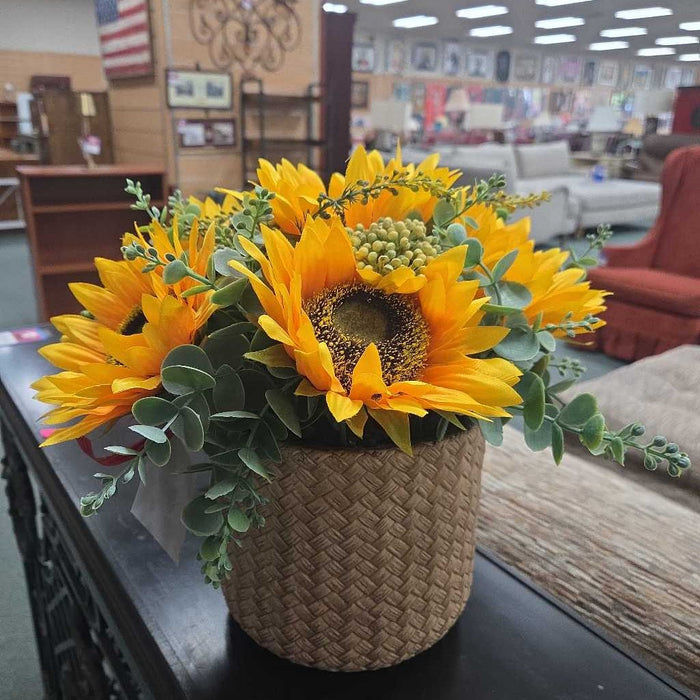 SUNFLOWER SILK PLANT