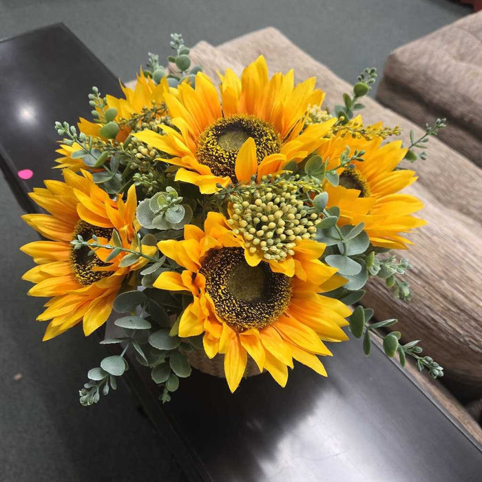 SUNFLOWER SILK PLANT
