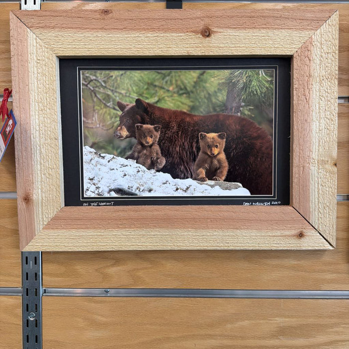 TAHOE BEARS ART