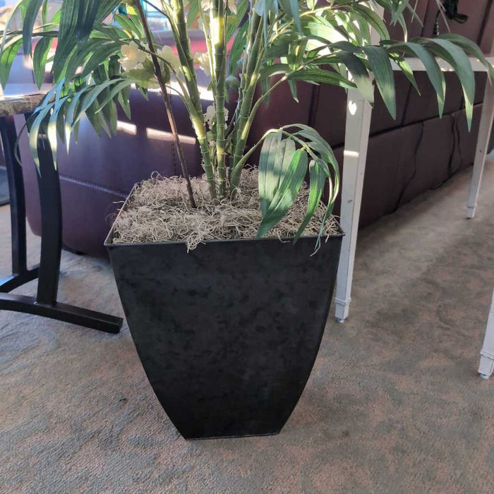 SILK PLANT
